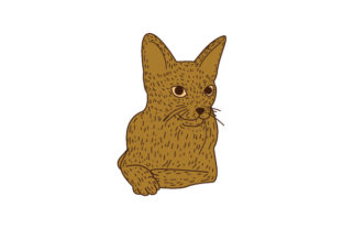 Abyssinian Cat Laying Down