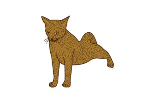 Abyssinian Cat Stretching. Line Art and Color