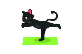 Black Cat Doing Yoga
