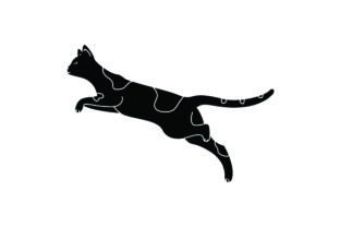 Black Cat Jumping