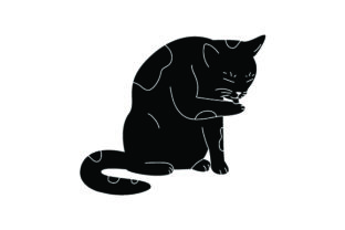 Black Cat Licking Itself