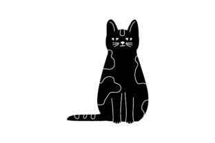 Black Cat Standing