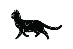 Black Cat Walking