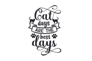 Cat Days Are the Best Days