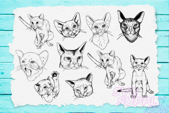 Cat Lineart Bundle Review