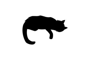 Silhouette of Cat Laying on Down with Paw Hanging Down
