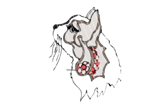 Zen Cat Embroidery Design